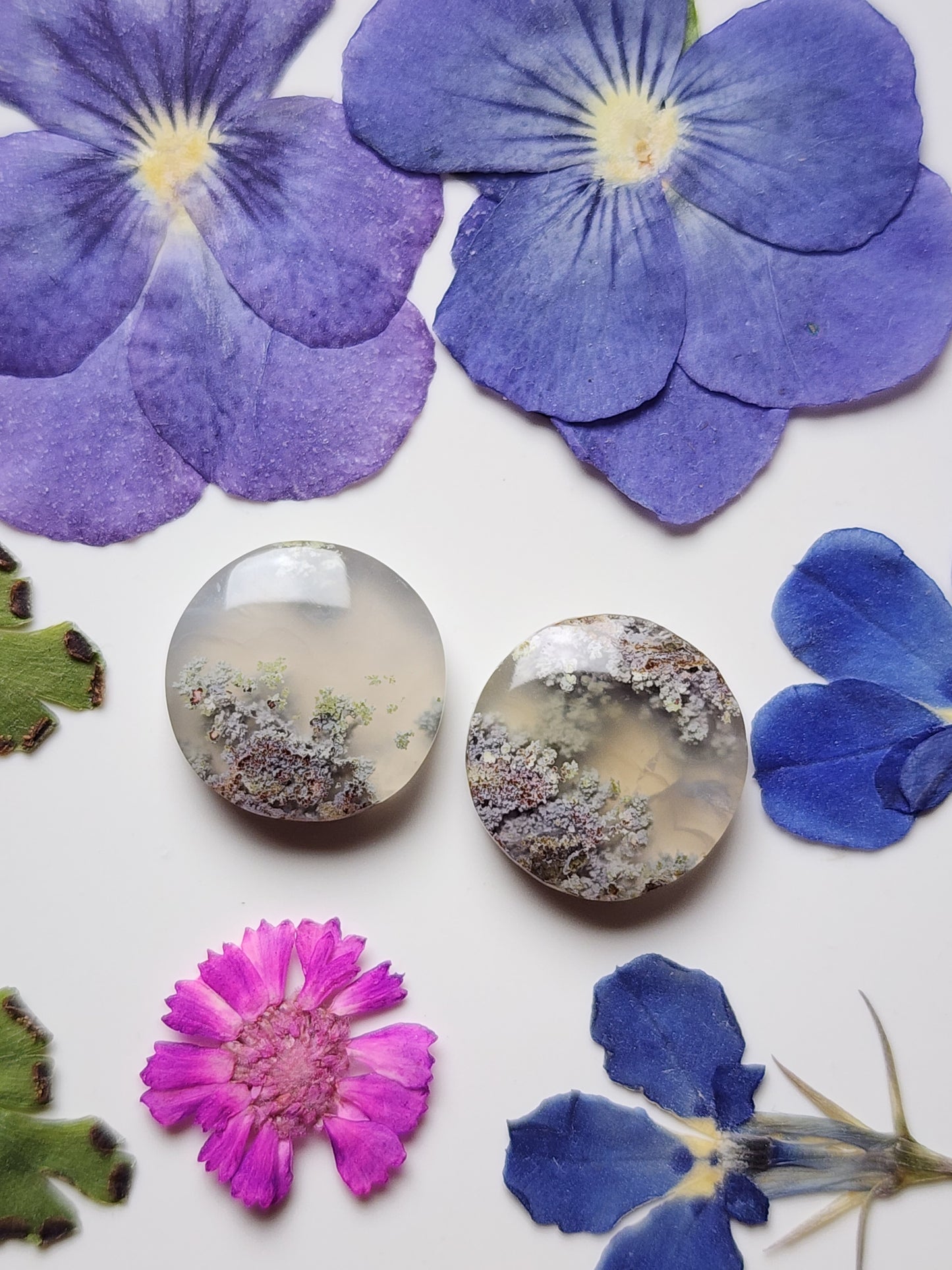 Garden Moss agate pair