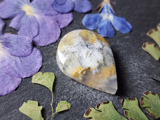 North Ridge plume agate