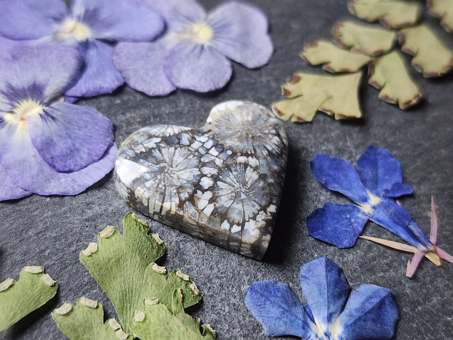 Fossilized coral heart