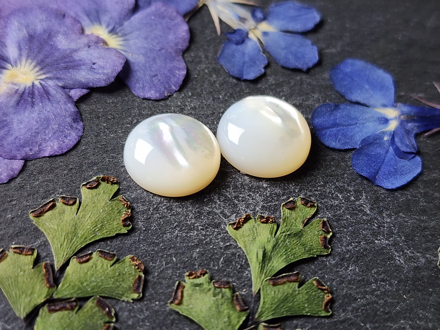 Mother of pearl shell pair (A2)