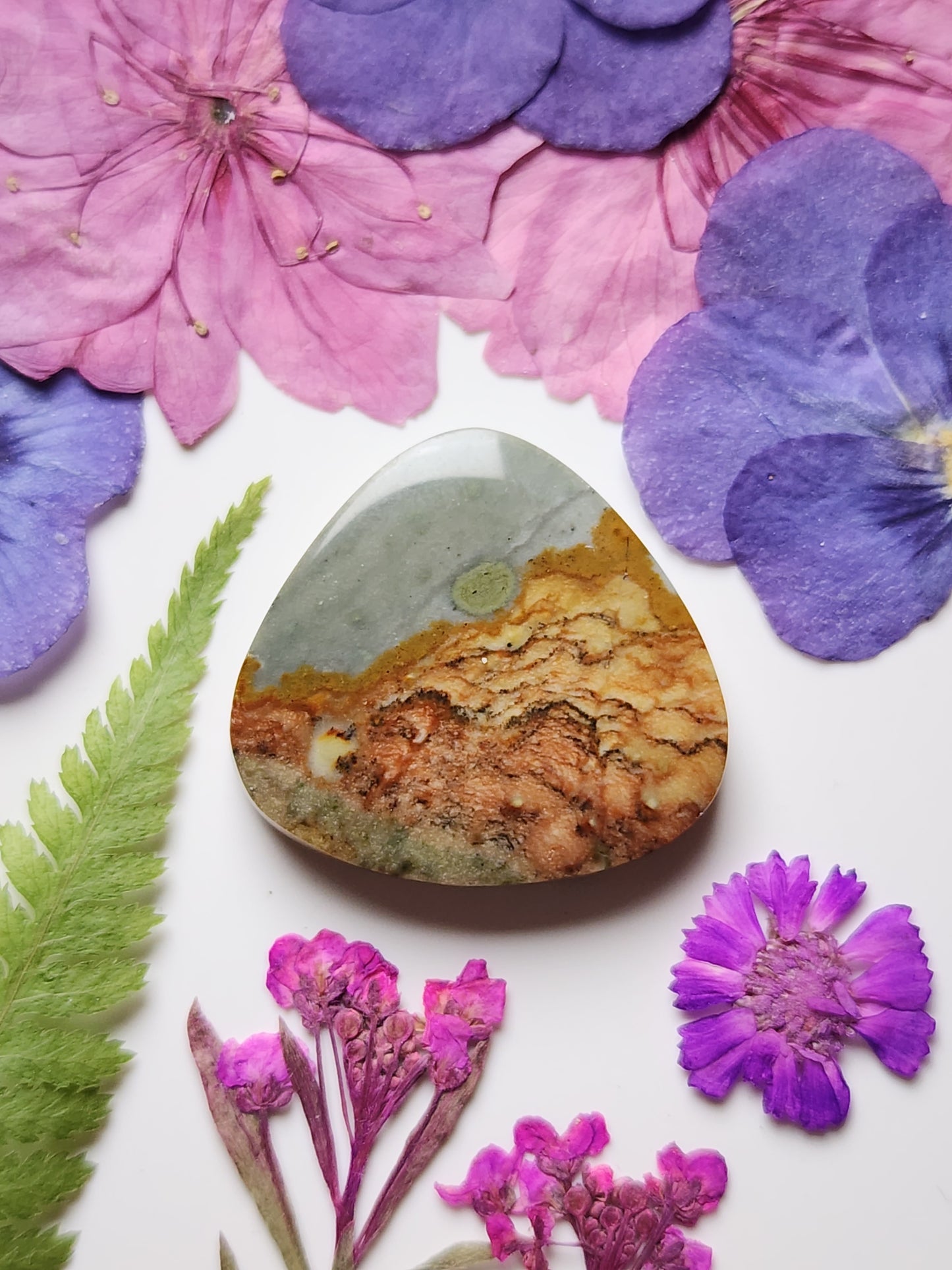 Rocky Butte picture jasper