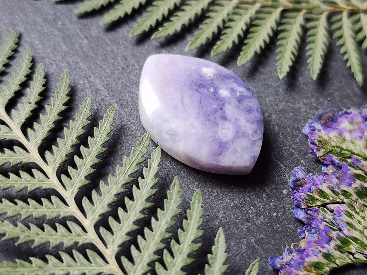 Morado opal