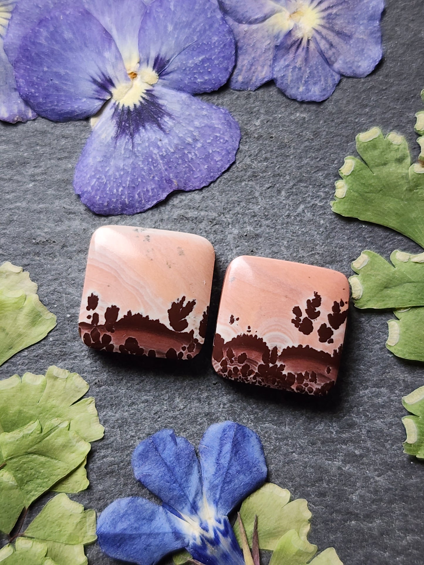 Mimbres Valley Apache Dendritic Rhyolite pair