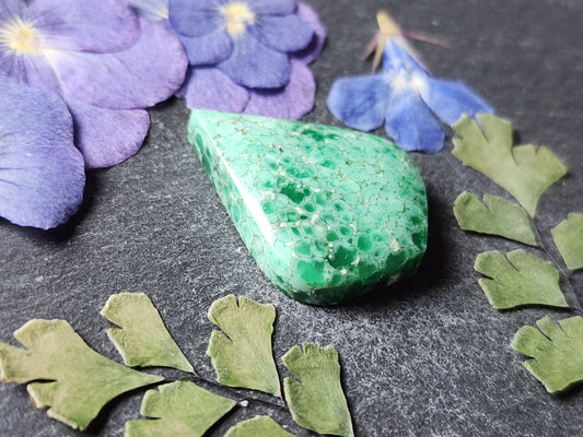 Australian Variscite
