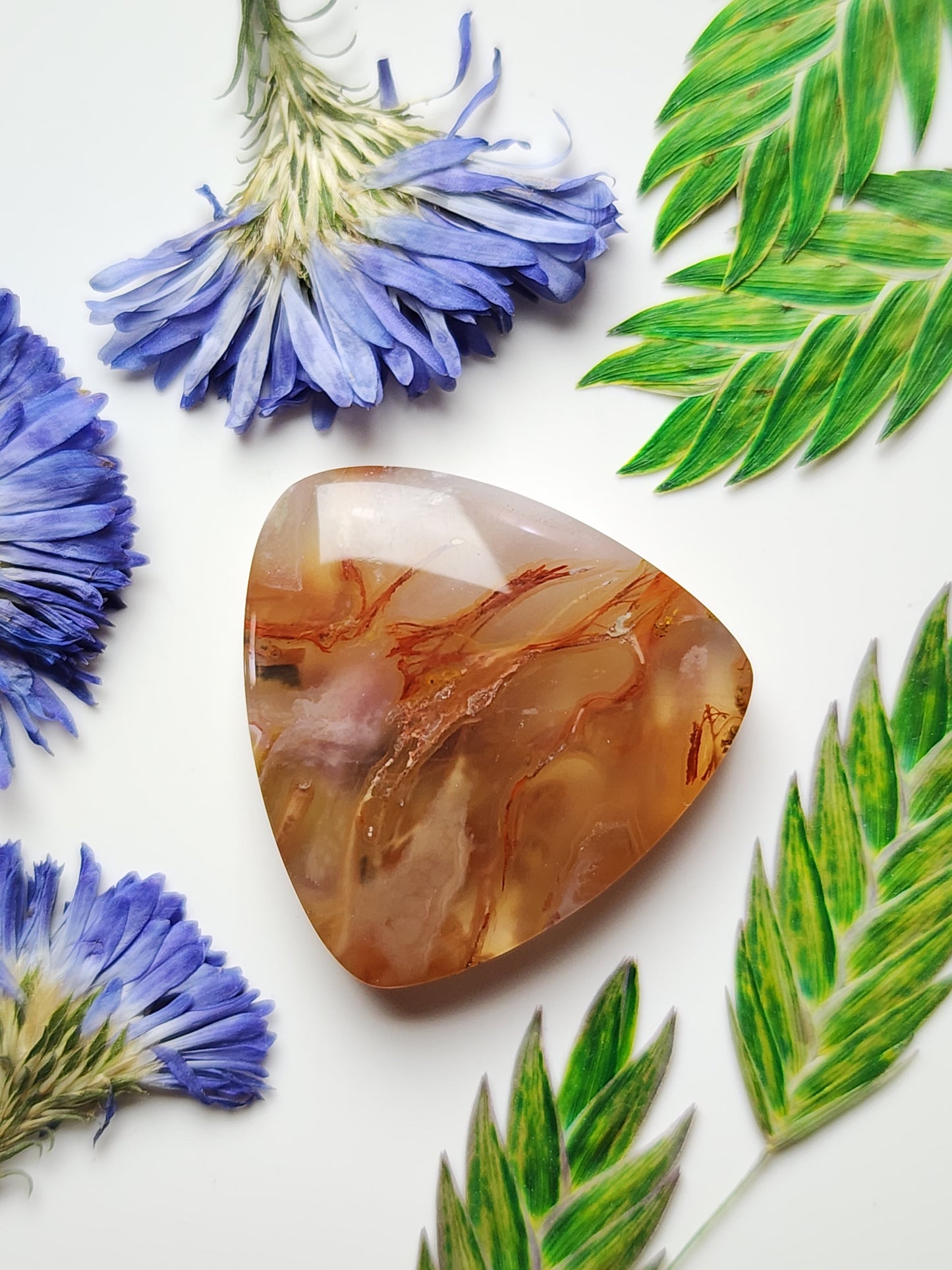Agua Nueva agate