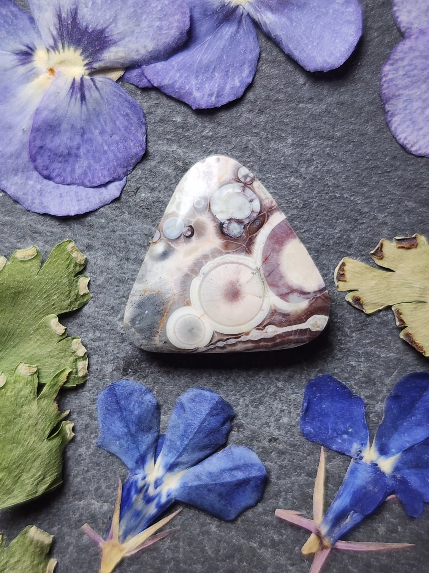 Galaxy Rhyolite