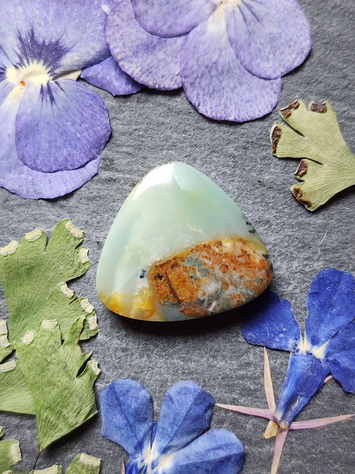 BC Ocean picture stone
