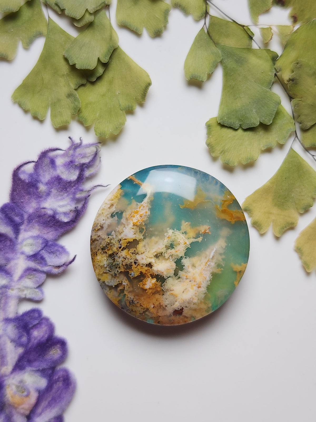 Bella Vista plume agate Doublet