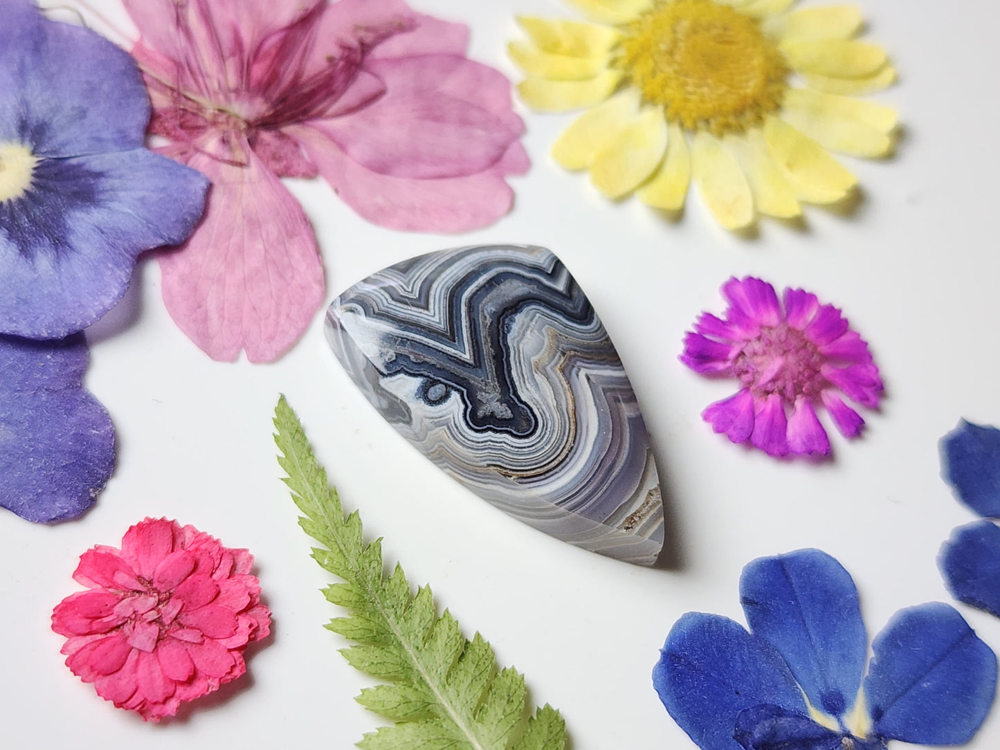 Laguna lace agate