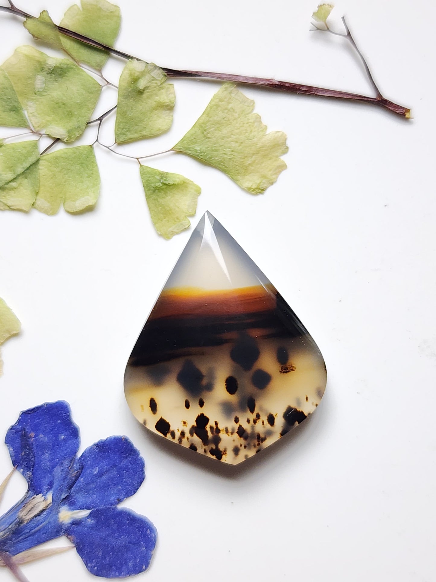 Montana agate