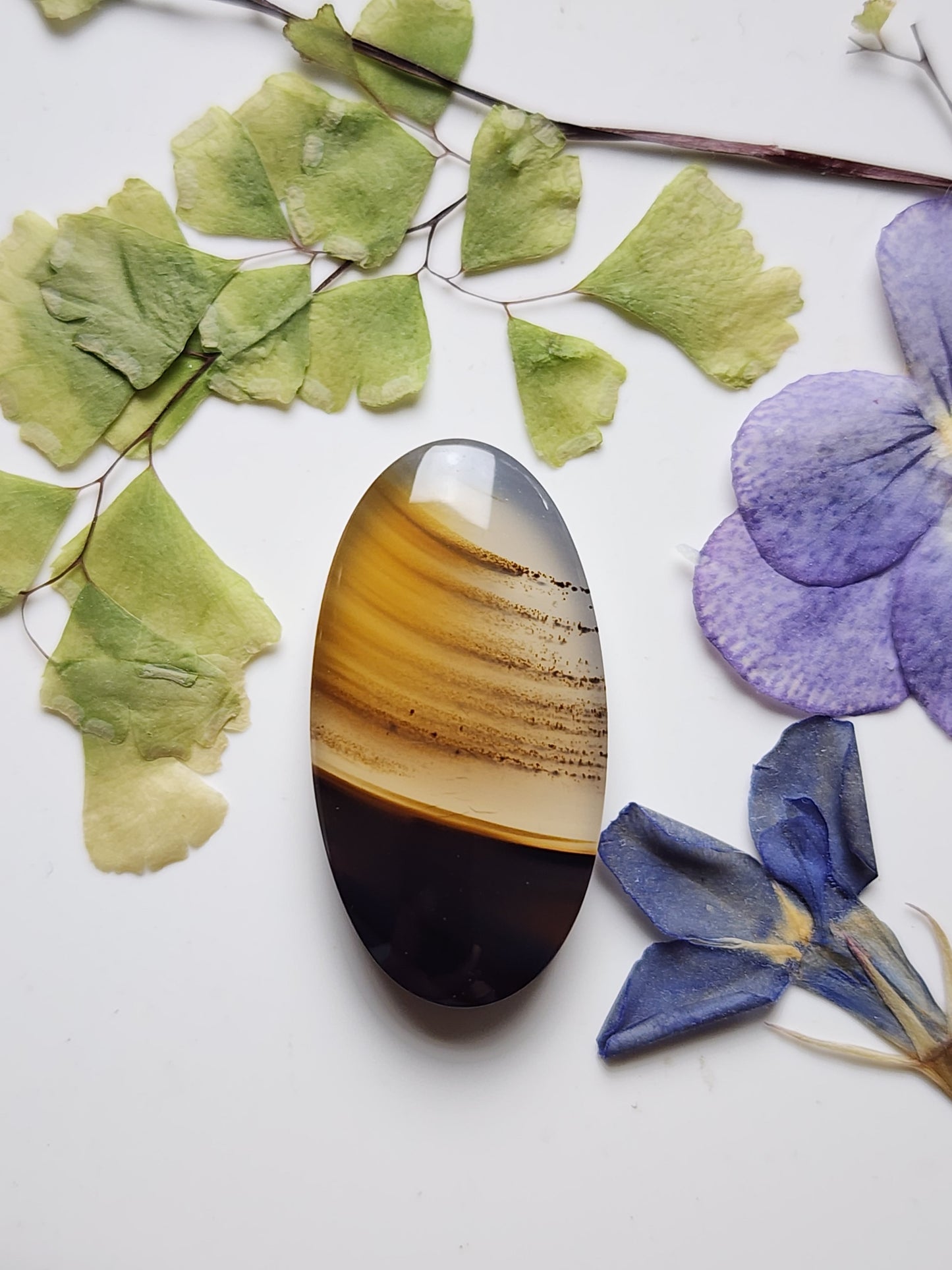 Montana agate