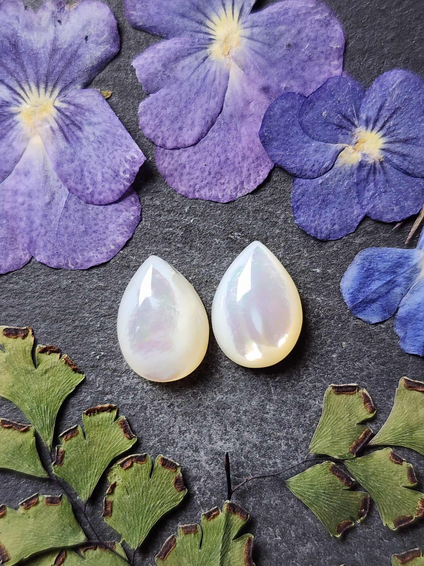 Mother of pearl shell pair (A2)