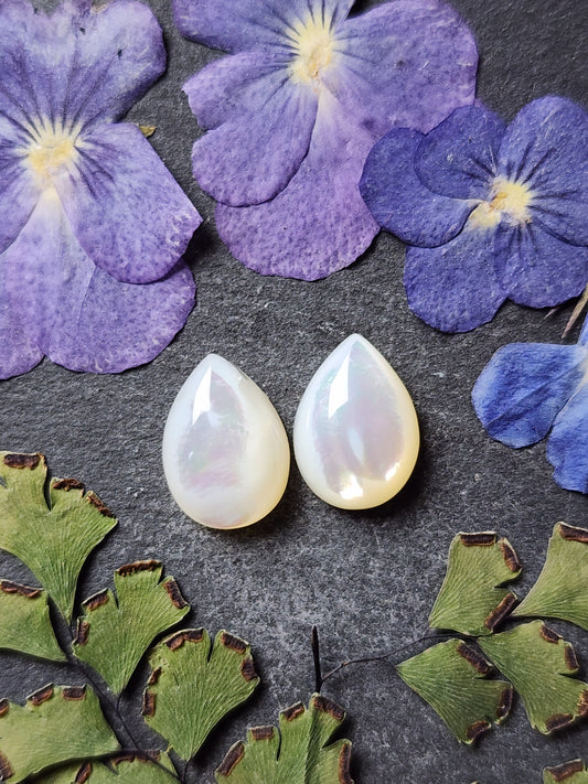 Mother of pearl shell pair (A2)