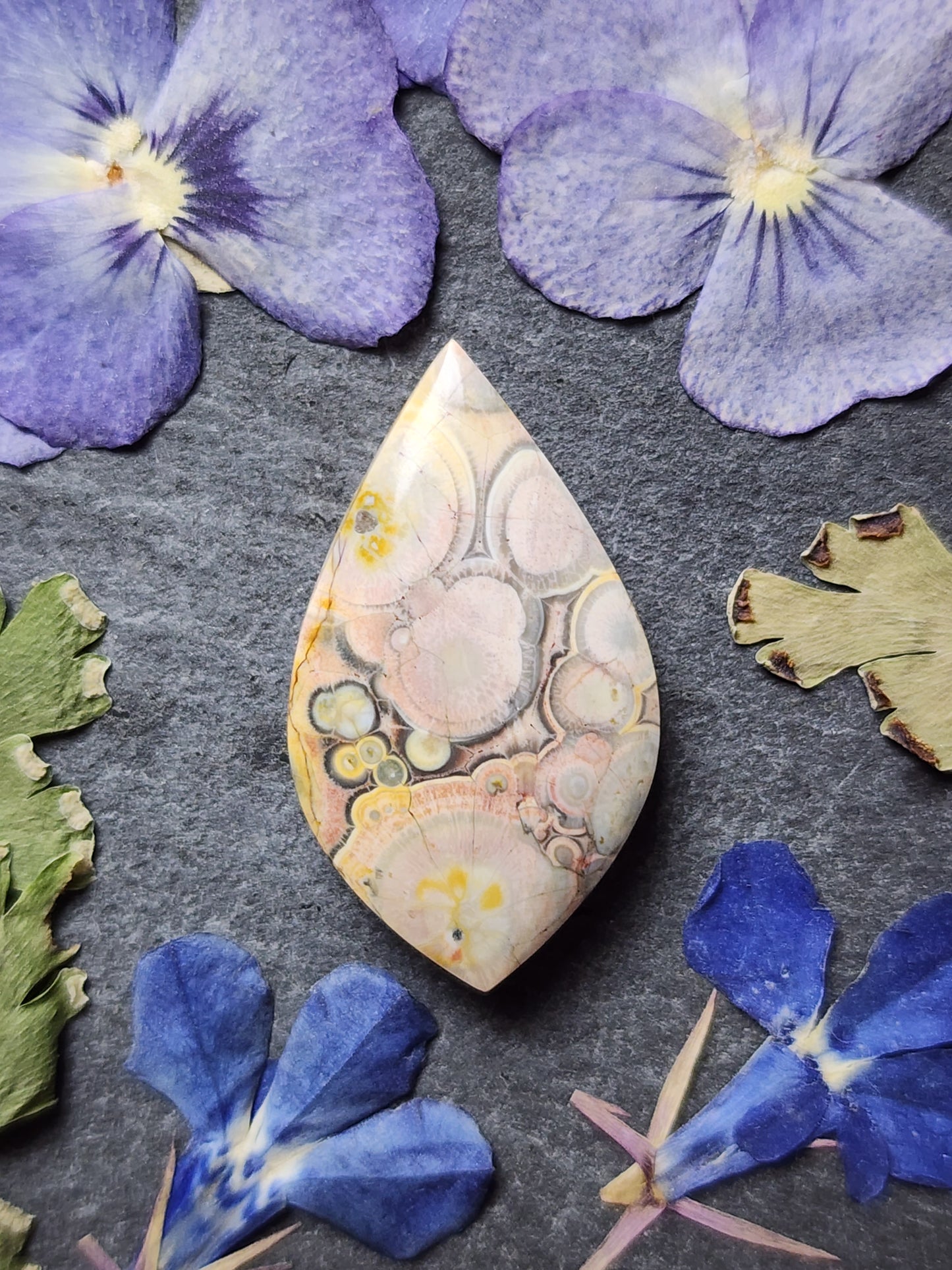 Galaxy Rhyolite