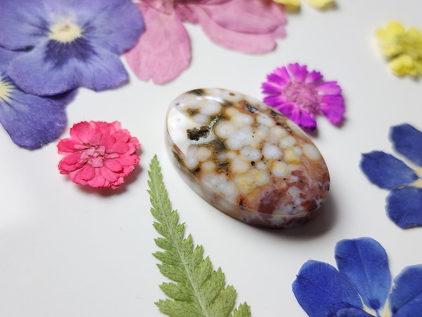 Ocean jasper with druzy pocket