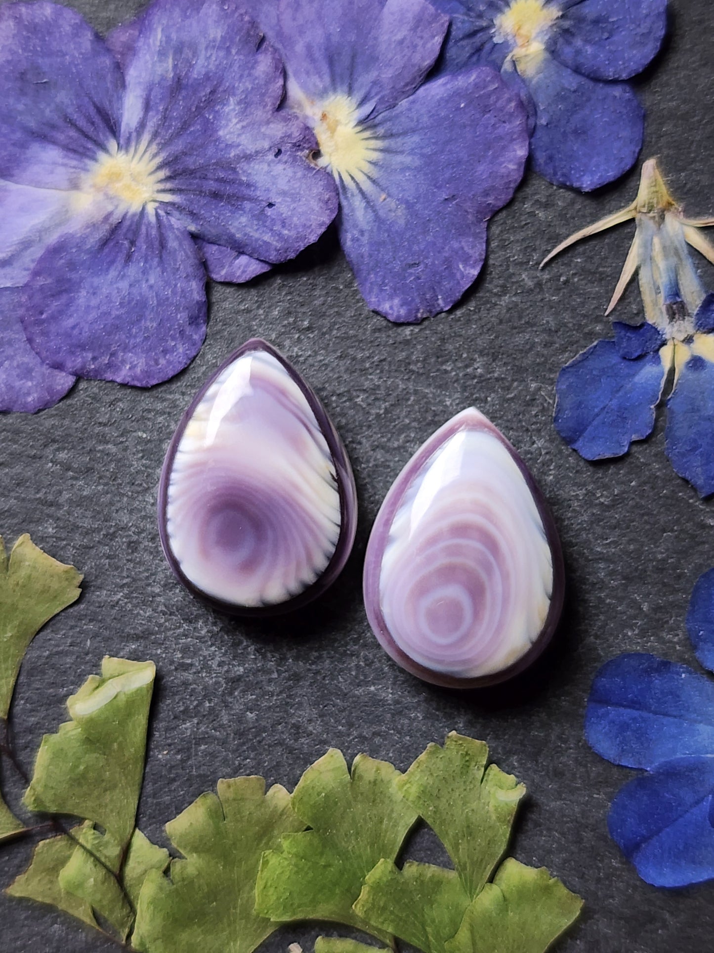Wampum shell pair