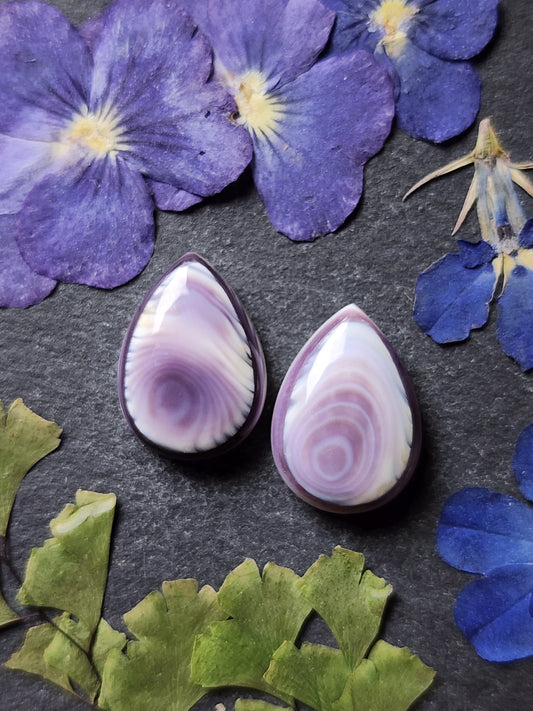 Wampum shell pair