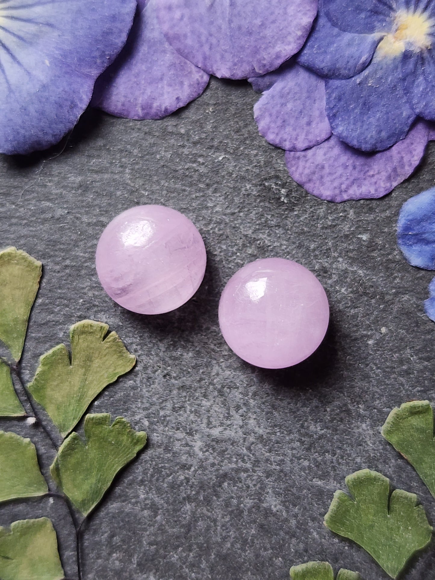 Lavender Kunzite pair