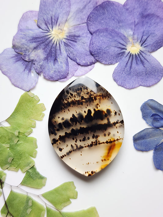 Montana agate