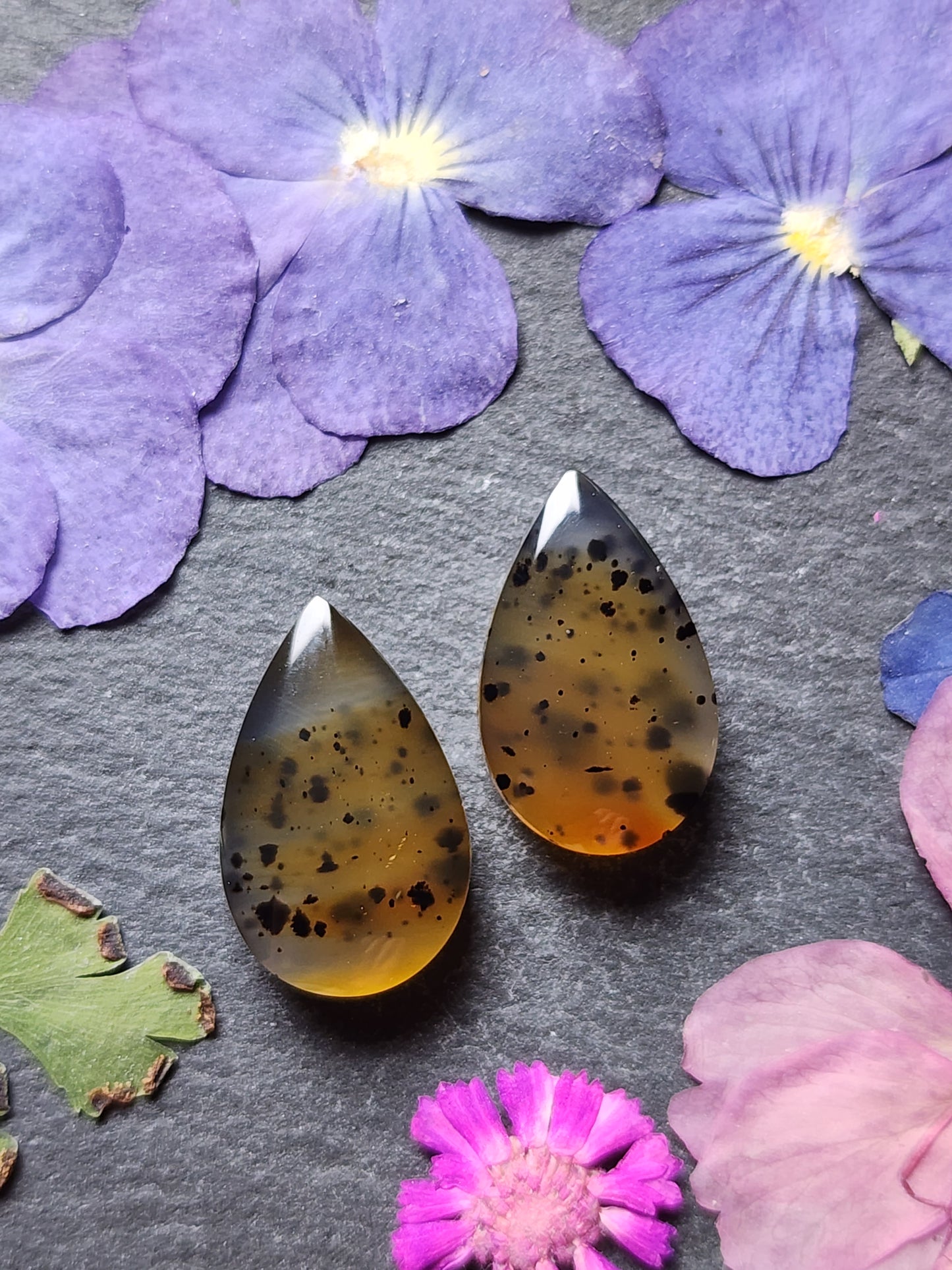 Montana agate pair