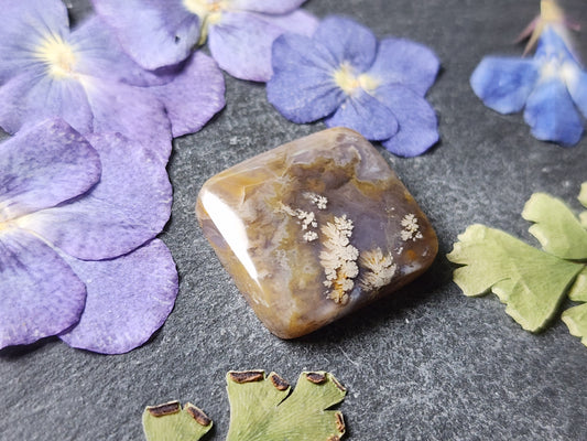 Dendrite plume agate