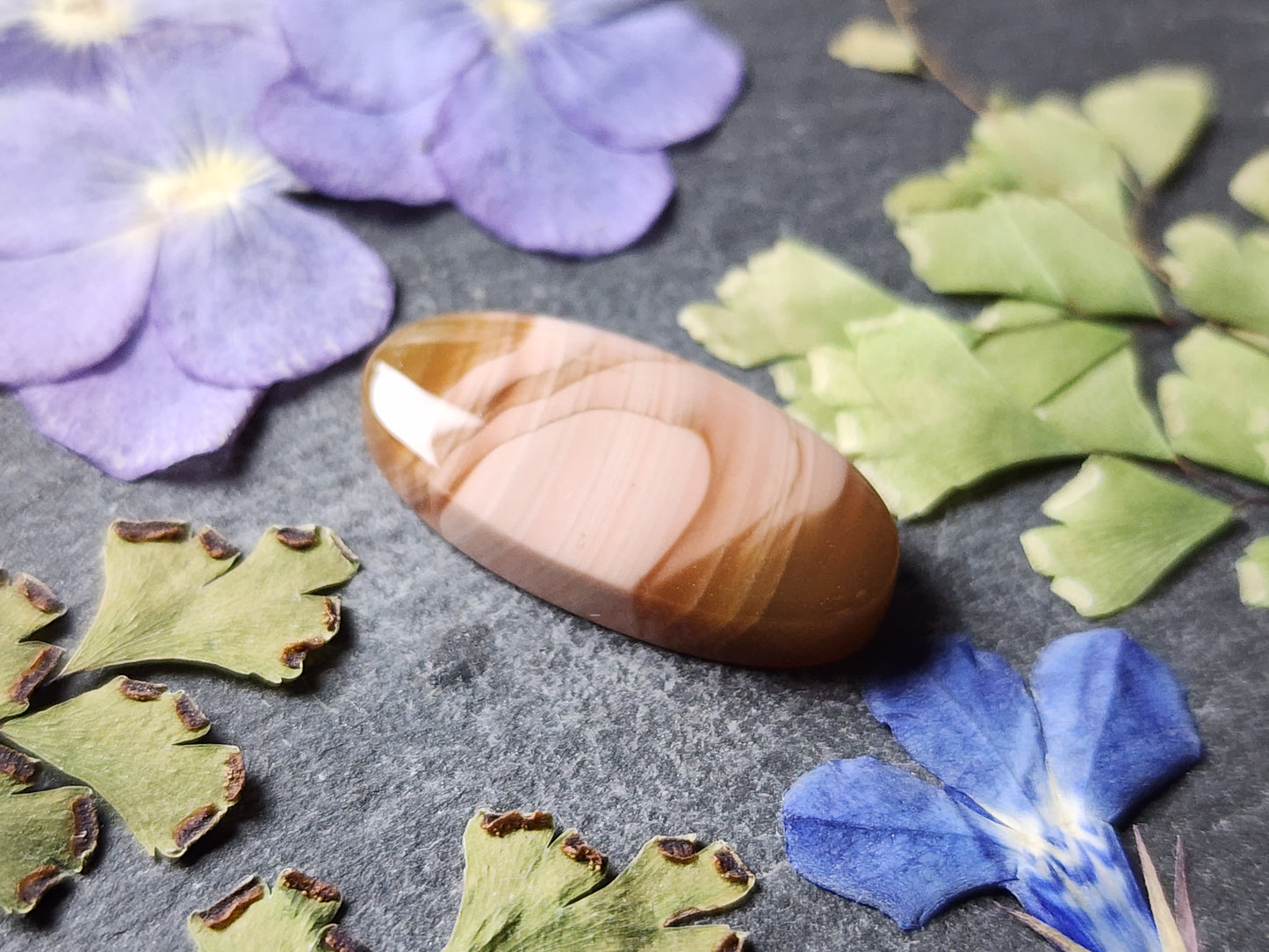 Royal Imperial jasper