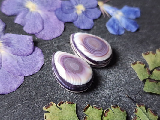 Wampum shell pair