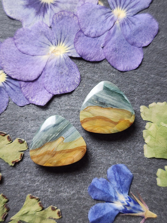 Gary green jasper/ Larsonite pair