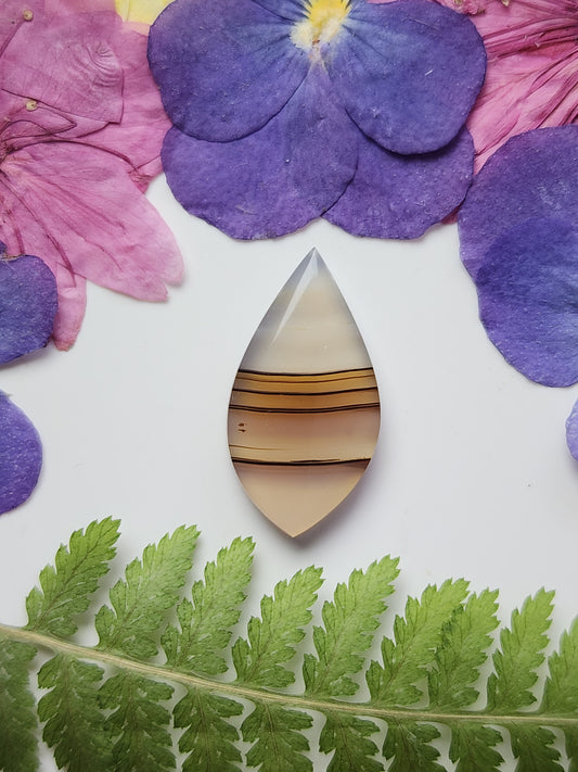 Montana agate