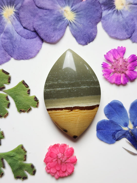 Polychrome jasper