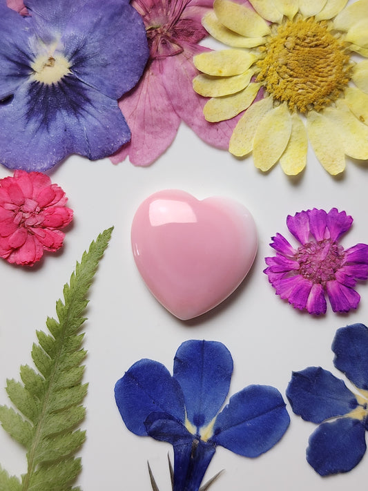 Pink Conch shell heart