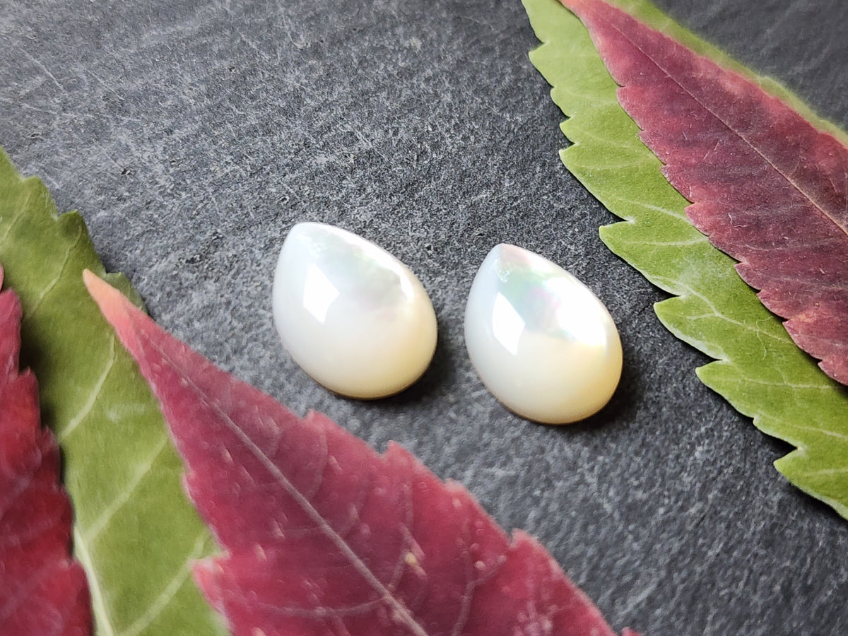 Mother of pearl pair (A2)
