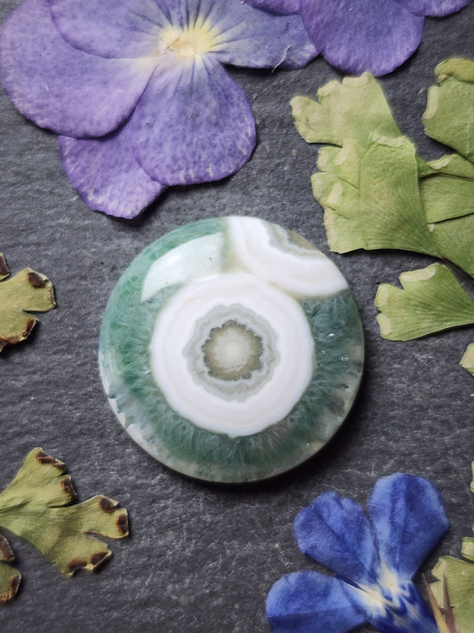 Ocean jasper