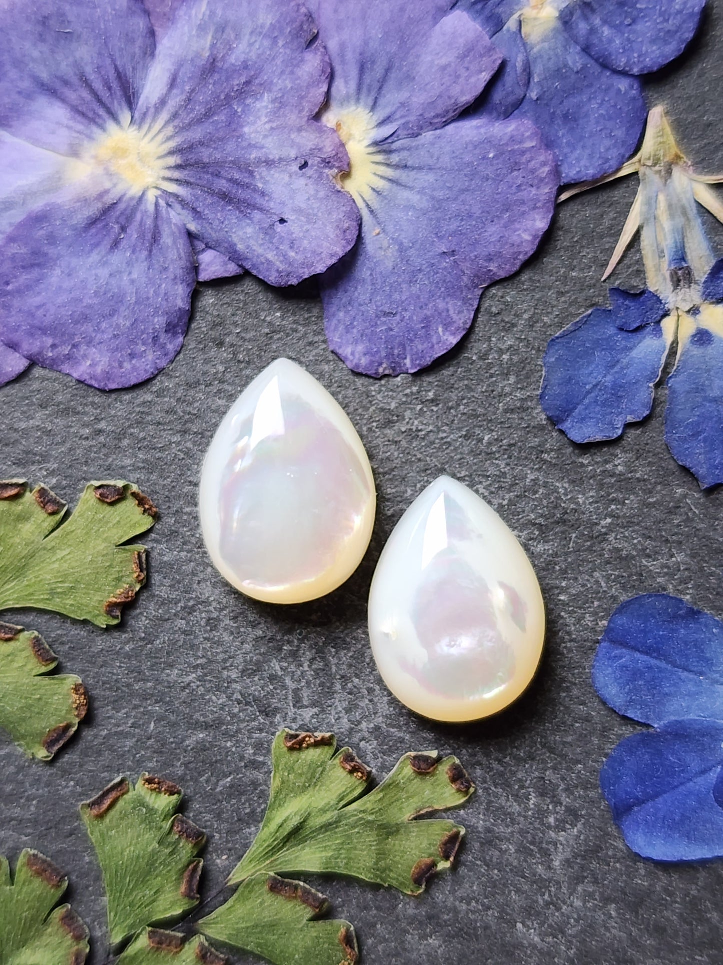 Mother of pearl shell pair (A1)