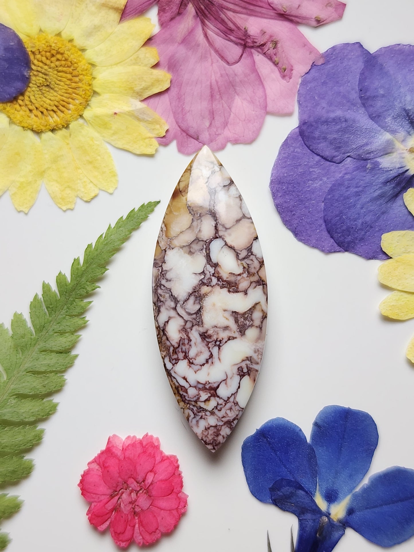 Wildhorse Magnesite