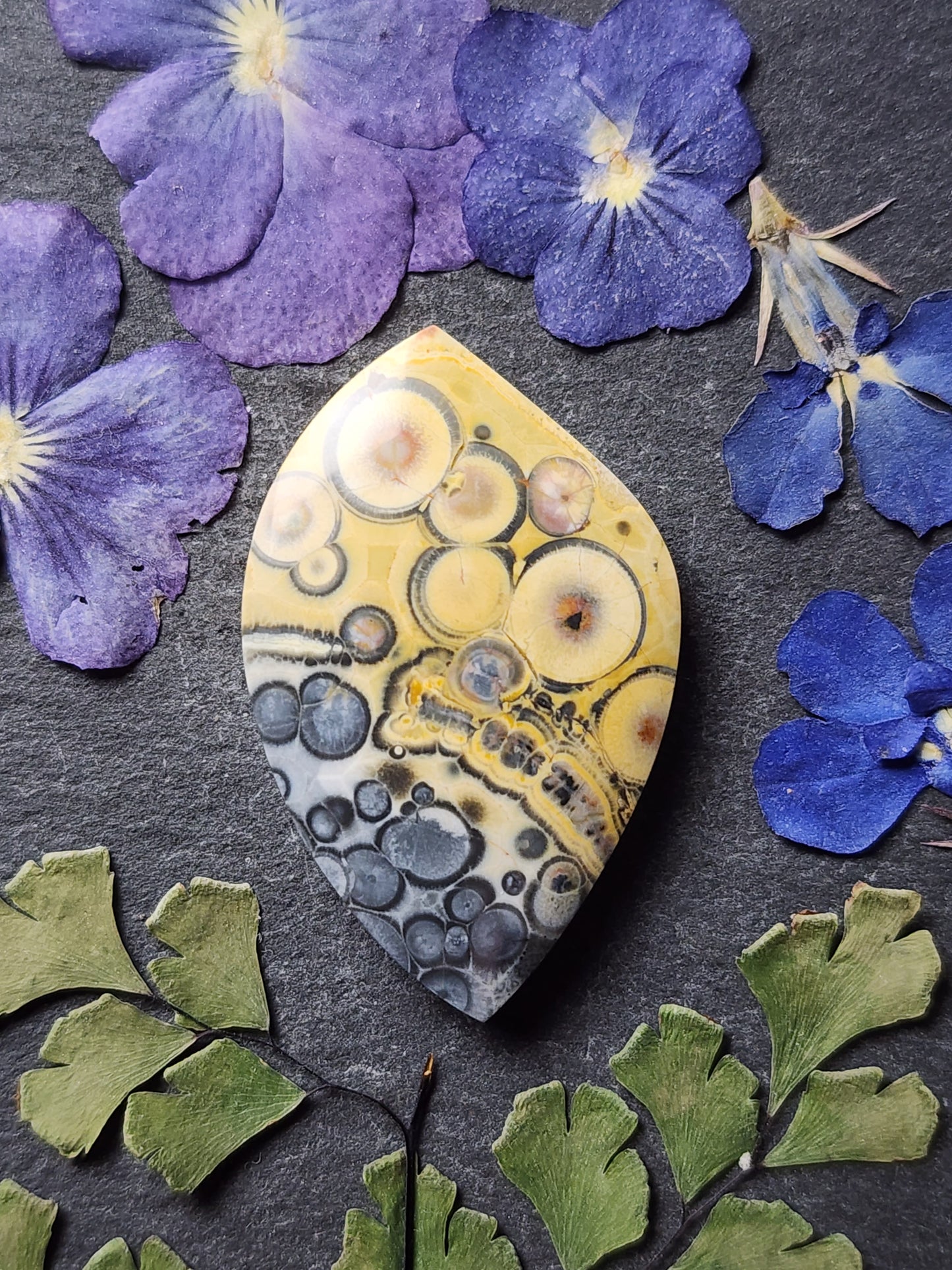 Galaxy Rhyolite