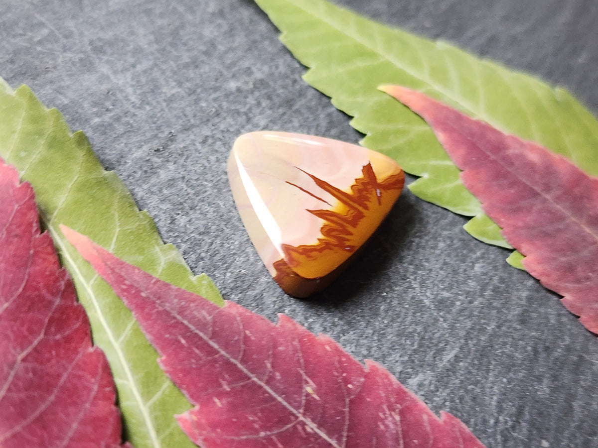 Red Falcon jasper