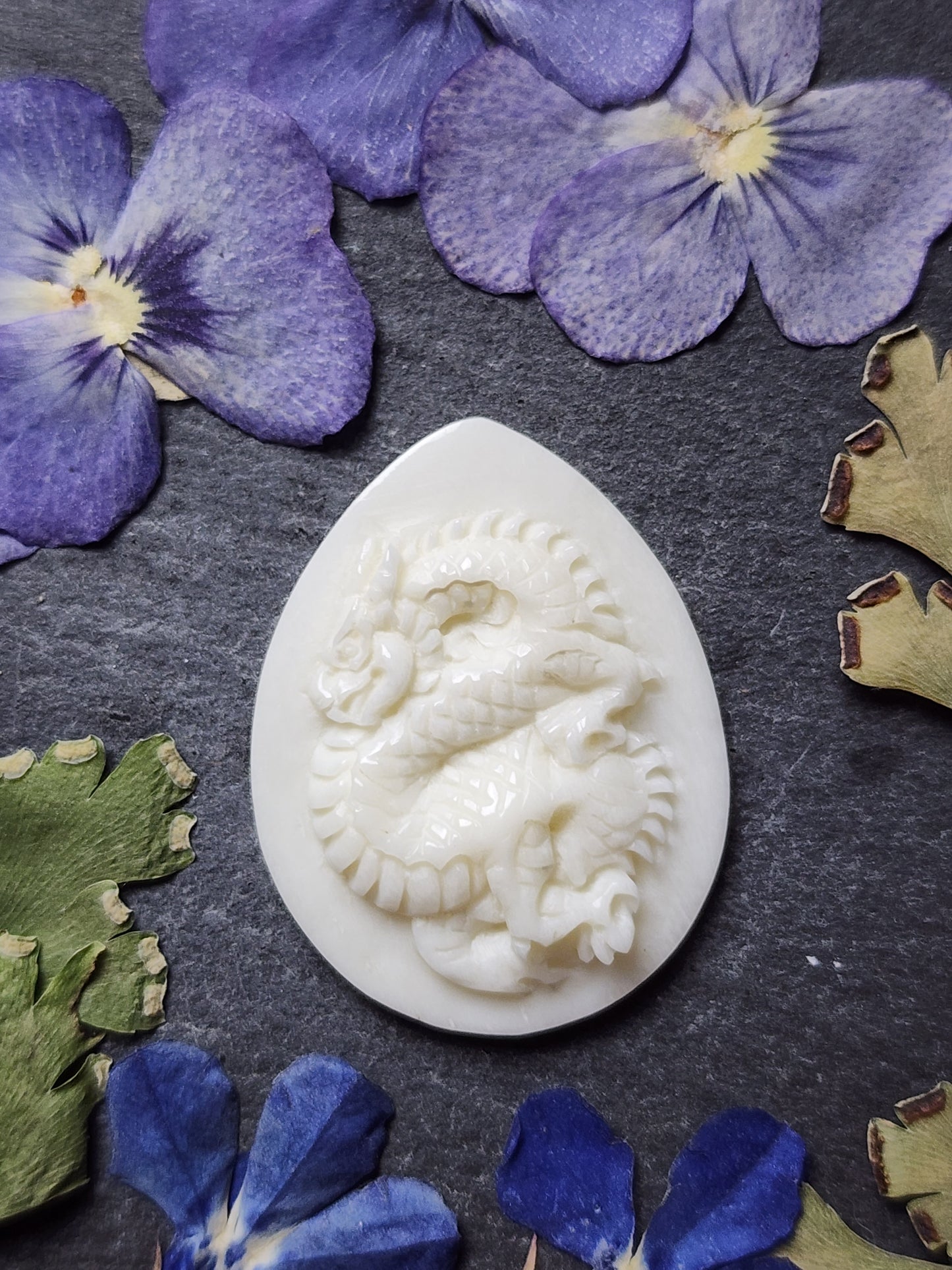 Coiled Dragon
