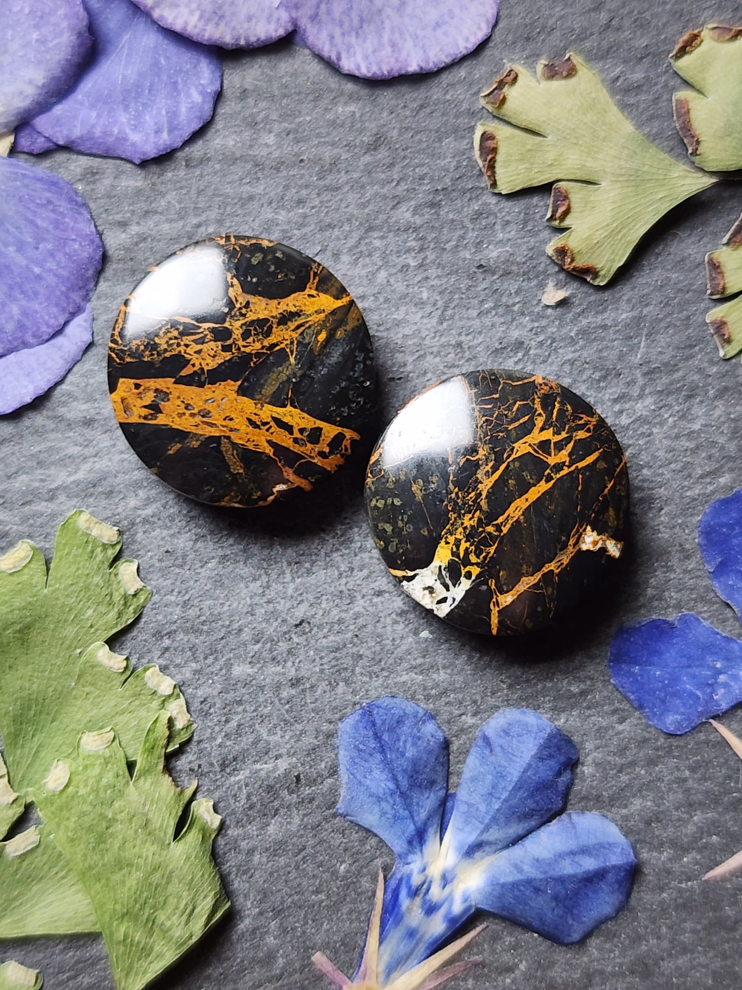 Iron buffalo pair