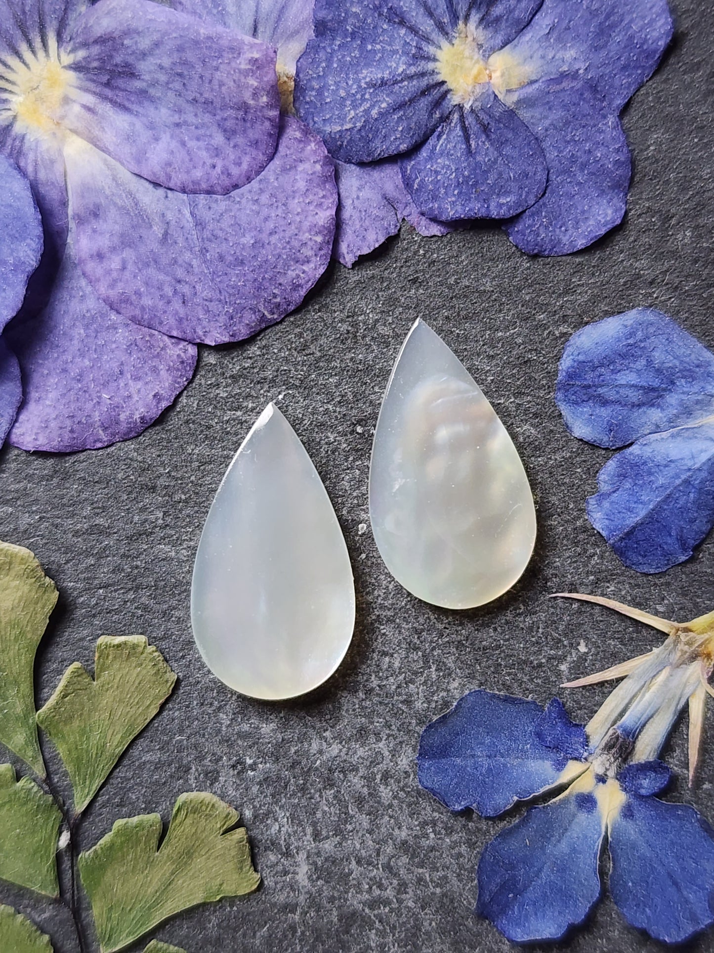Mother of pearl shell pair
