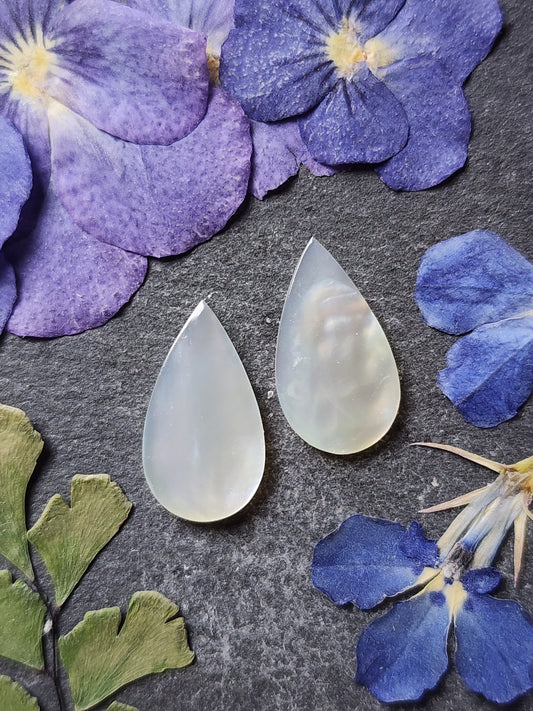 Mother of pearl shell pair