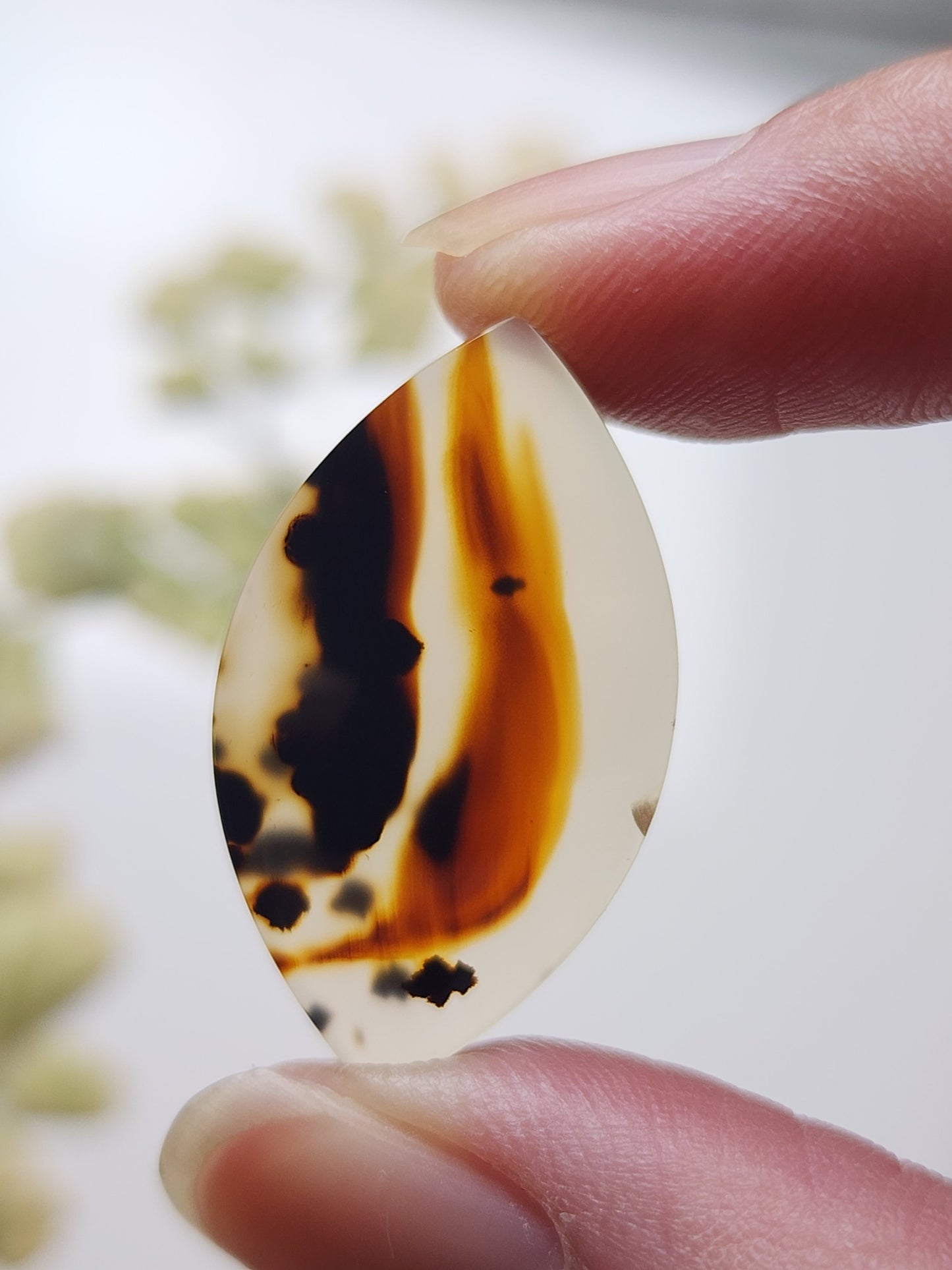 Montana agate
