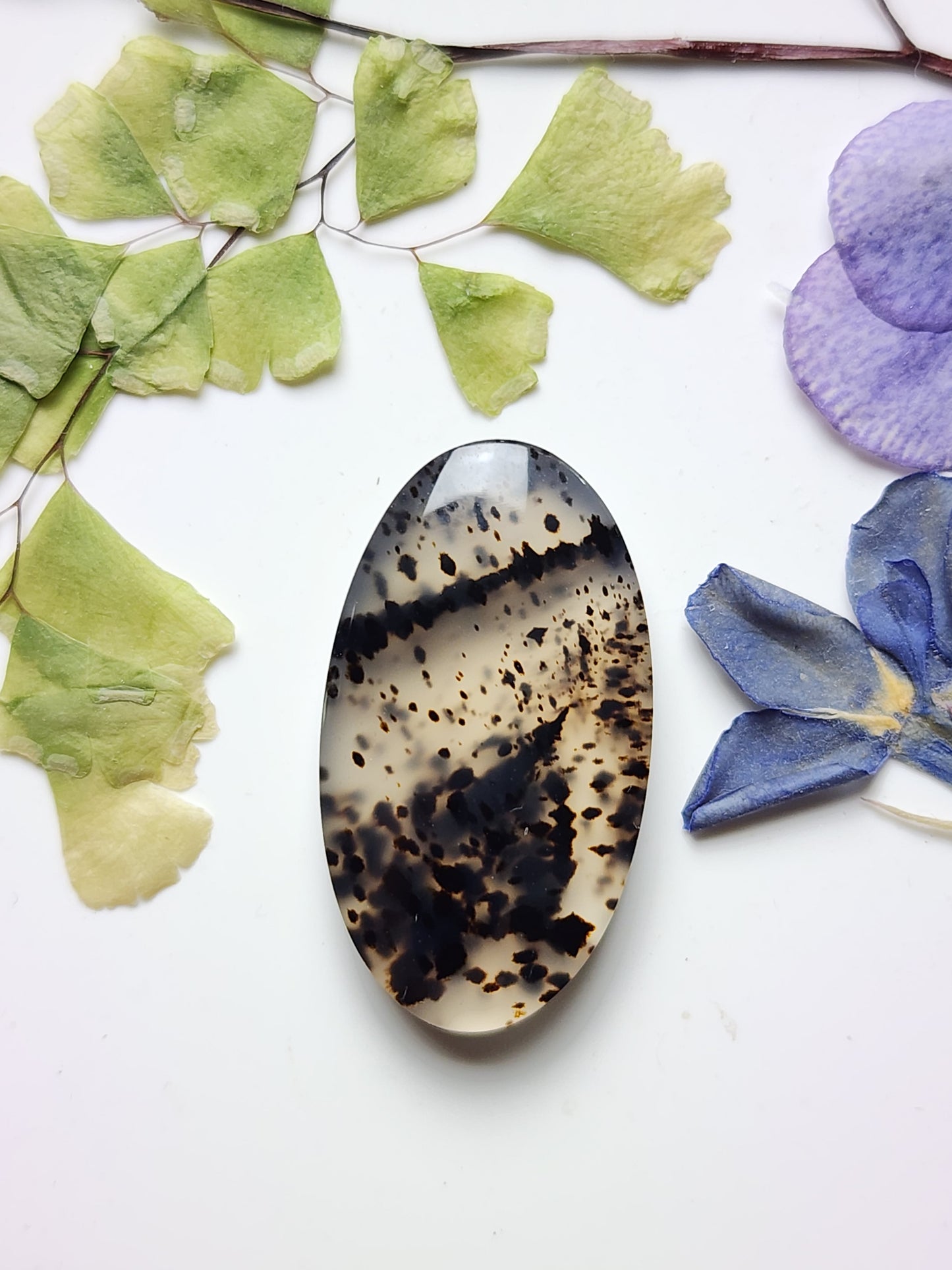 Montana agate