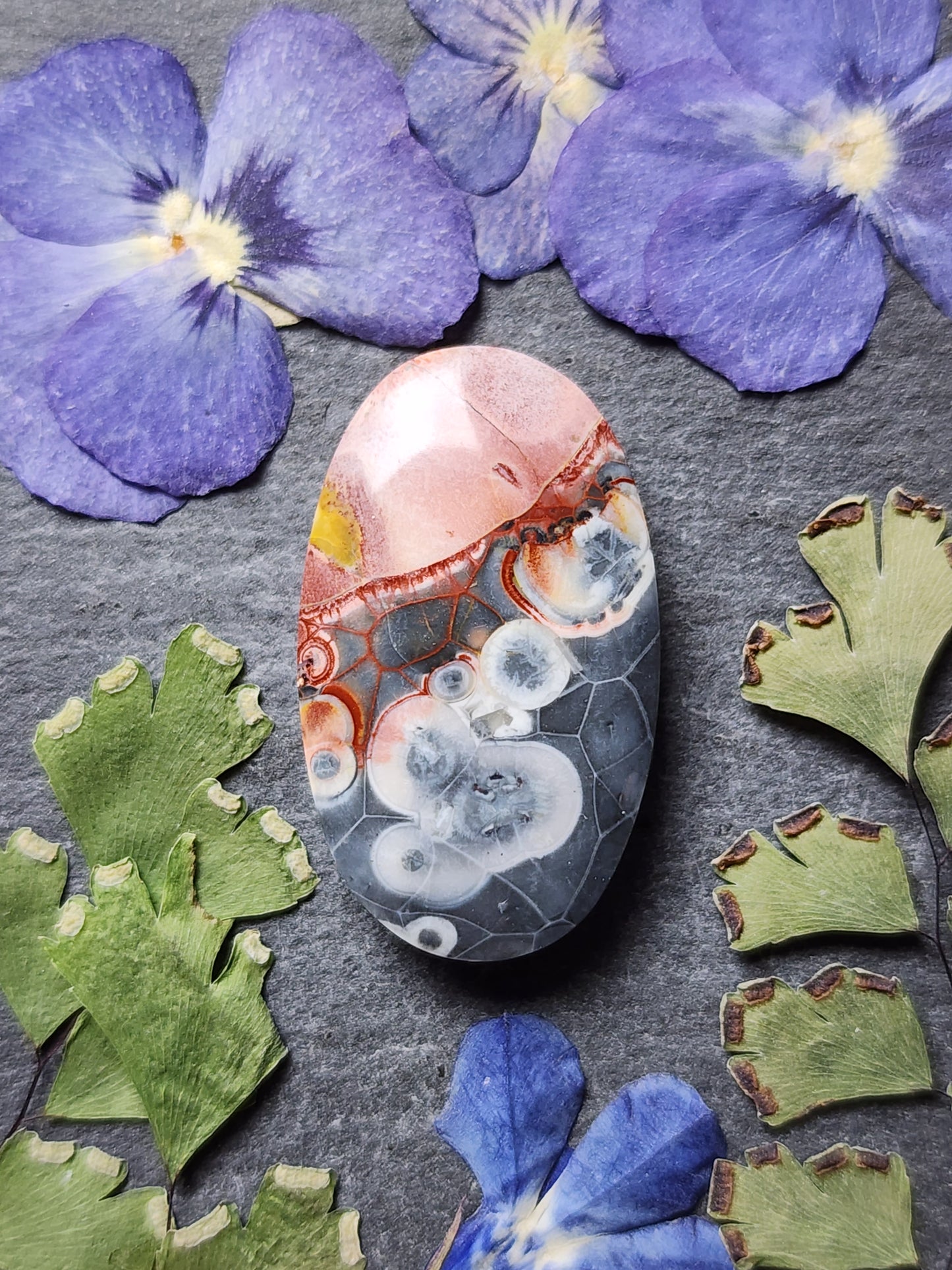 Galaxy Rhyolite