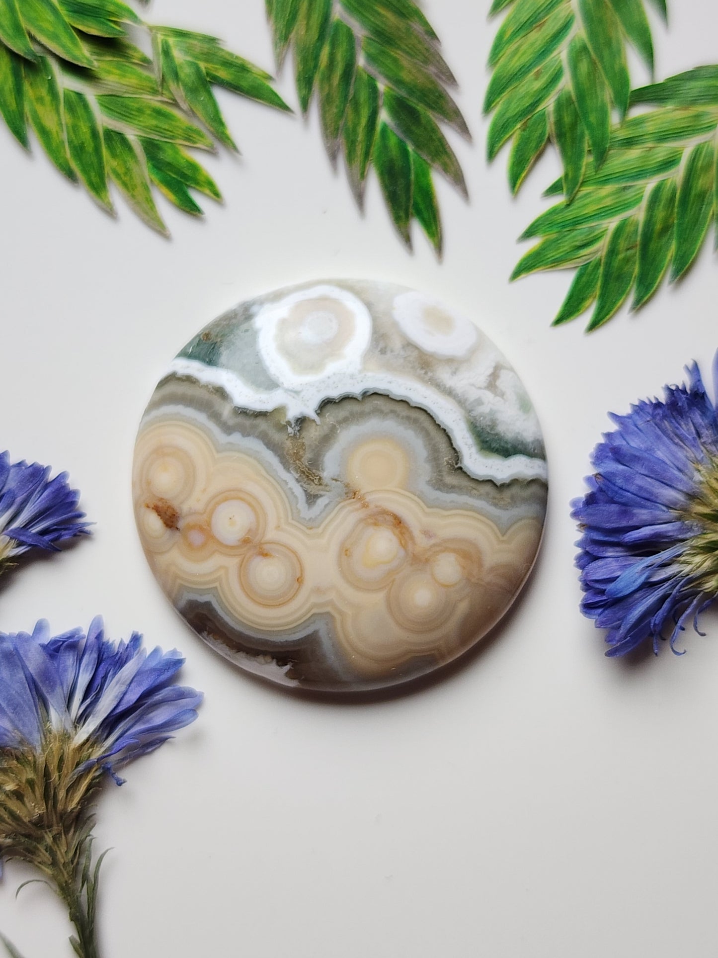 Ocean jasper