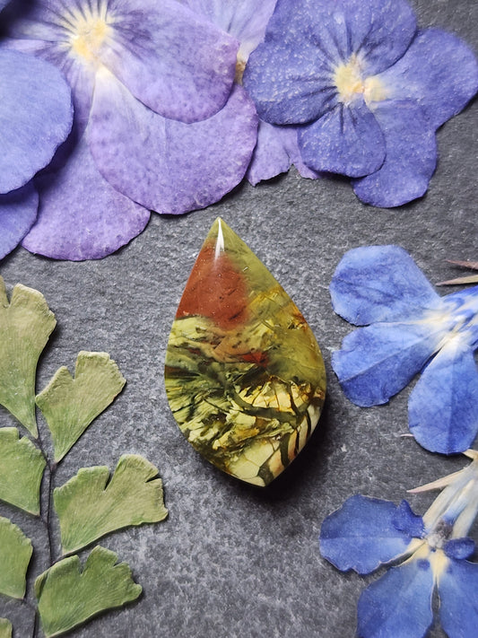 Morrisonite jasper