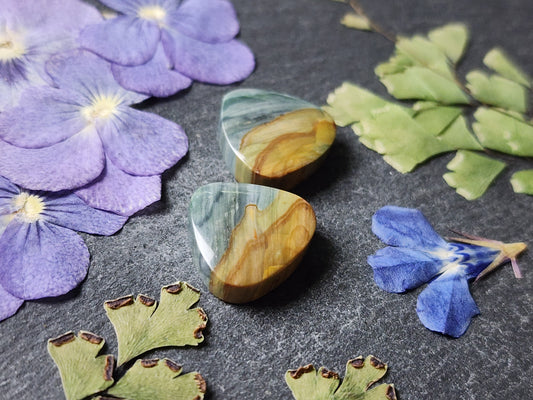 Gary green jasper/ Larsonite pair