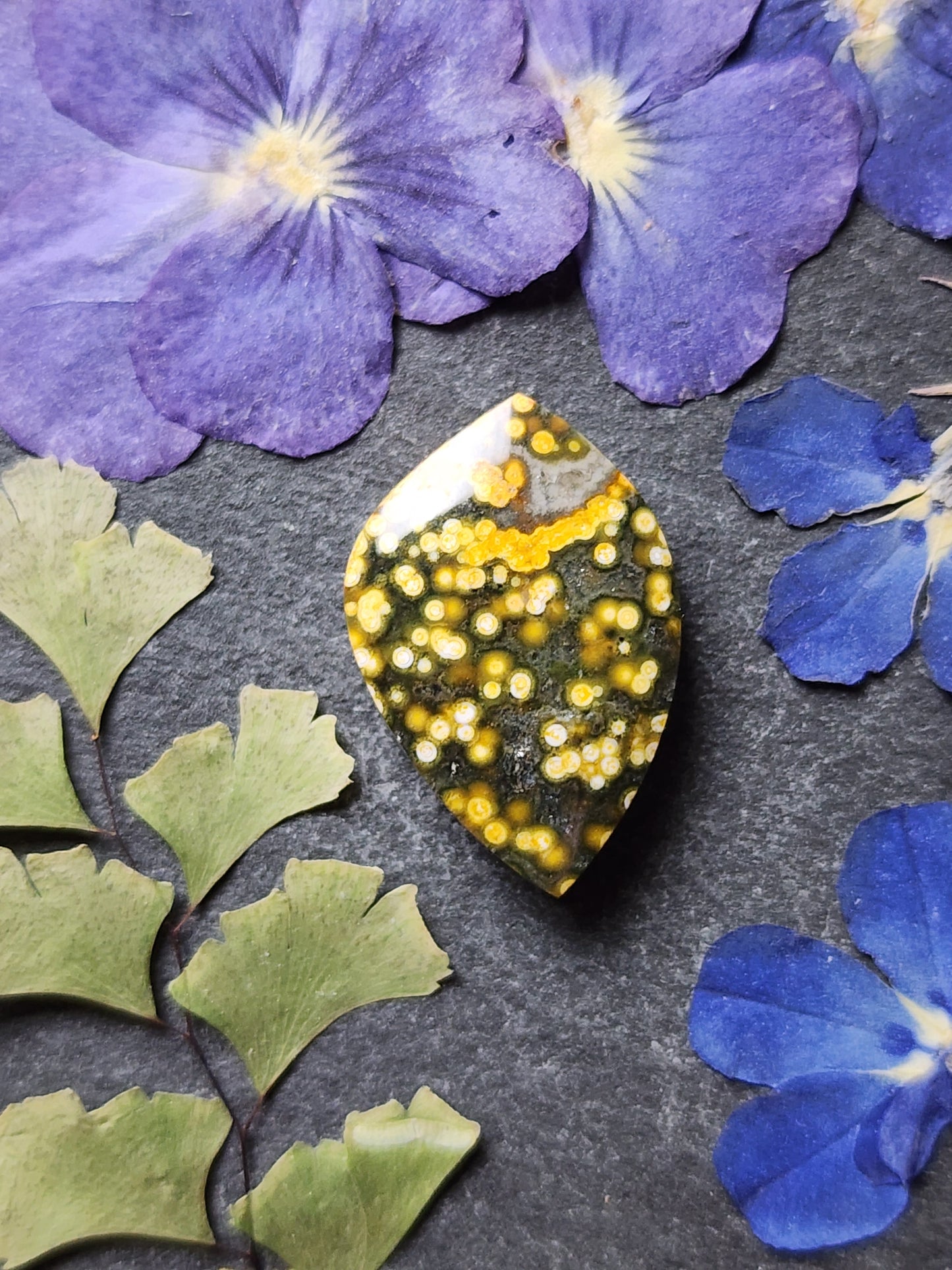 Ocean jasper