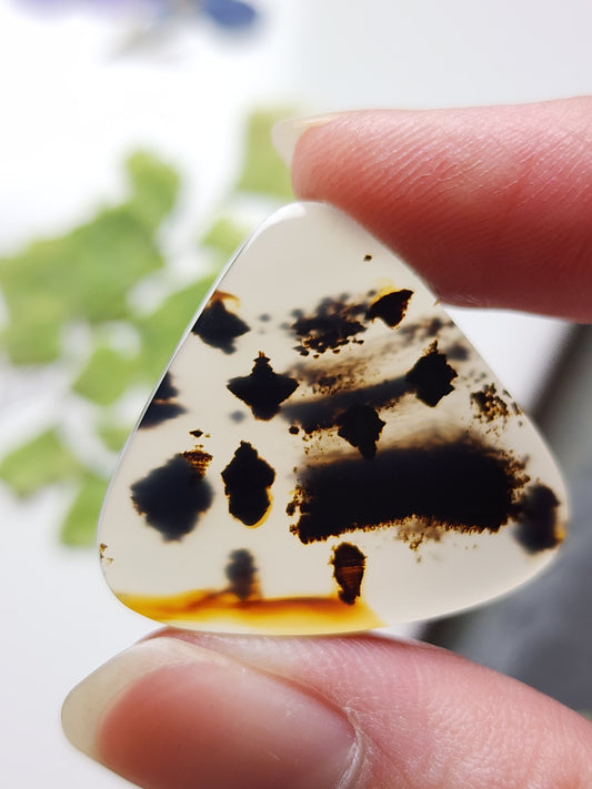 Montana agate