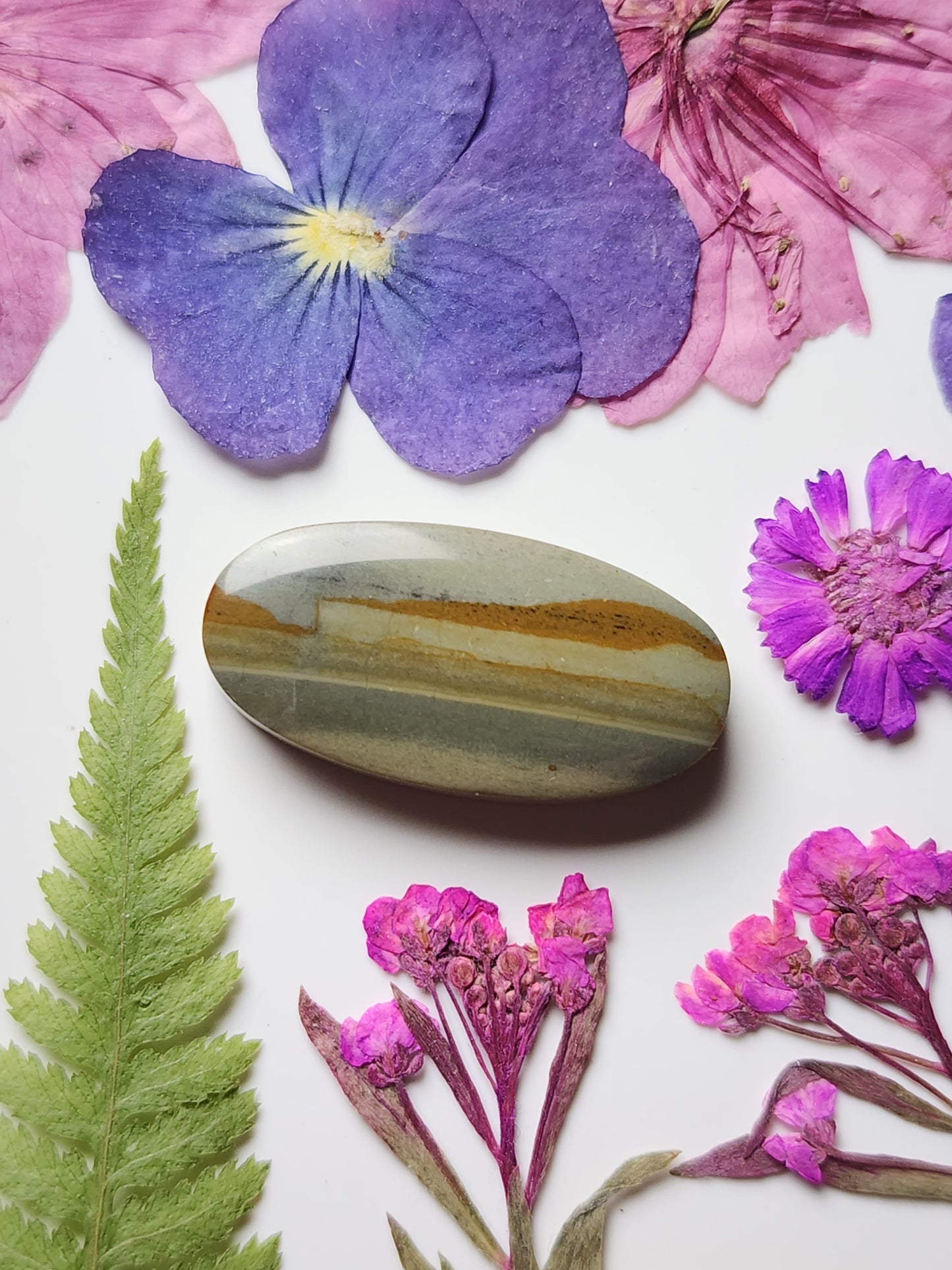 Succor Creek picture jasper